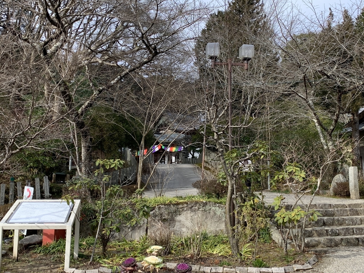 f:id:suzukasjp:20200207124435j:plain