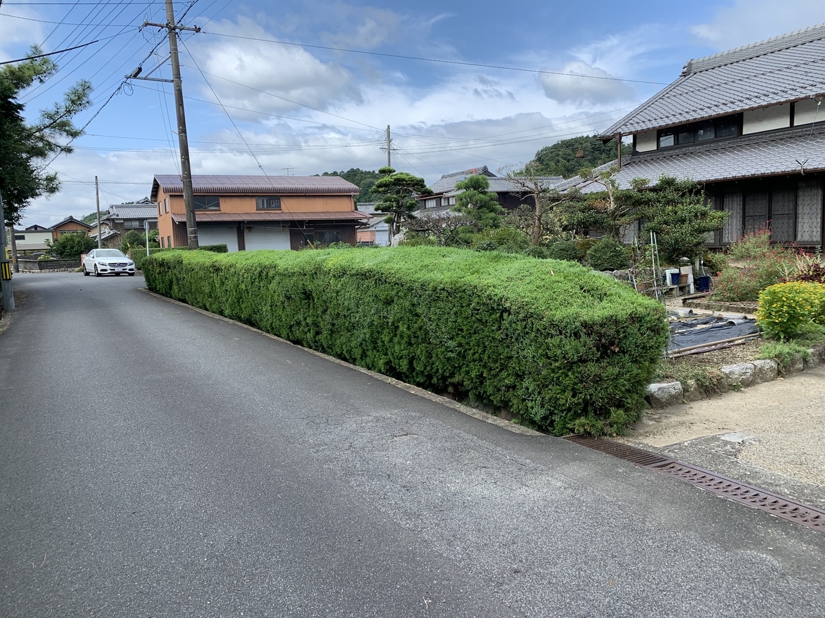 f:id:suzukasjp:20200210195523j:plain f:id:suzukasjp:20200210195523j:plain