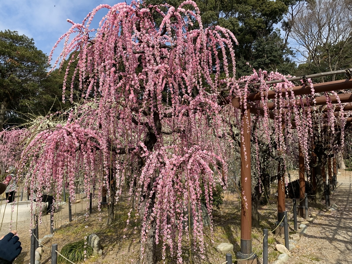f:id:suzukasjp:20200224141628j:plain