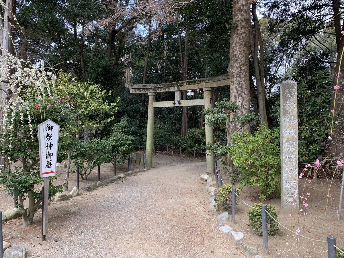 f:id:suzukasjp:20200224182539j:plain