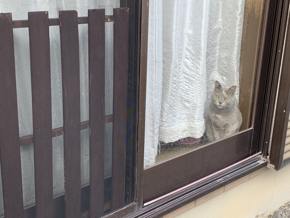 f:id:suzukasjp:20200315110946j:plain