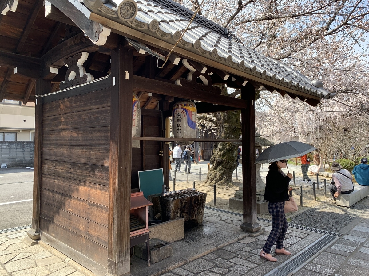 f:id:suzukasjp:20200327001009j:plain
