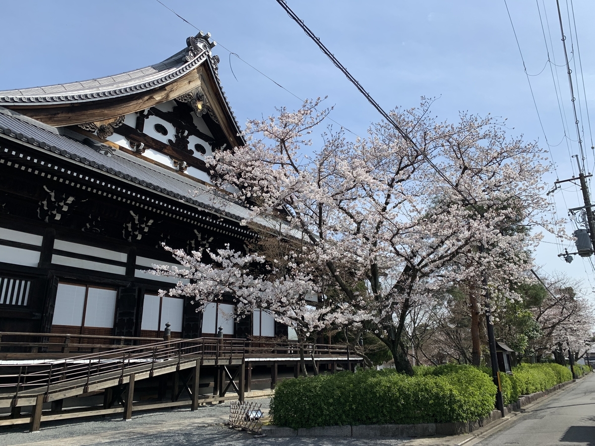 f:id:suzukasjp:20200328180914j:plain