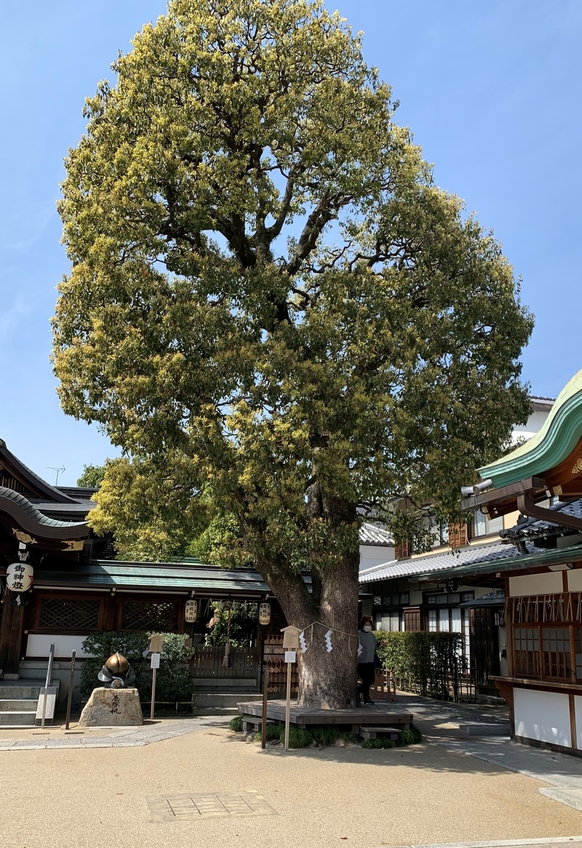 f:id:suzukasjp:20200421173830j:plain