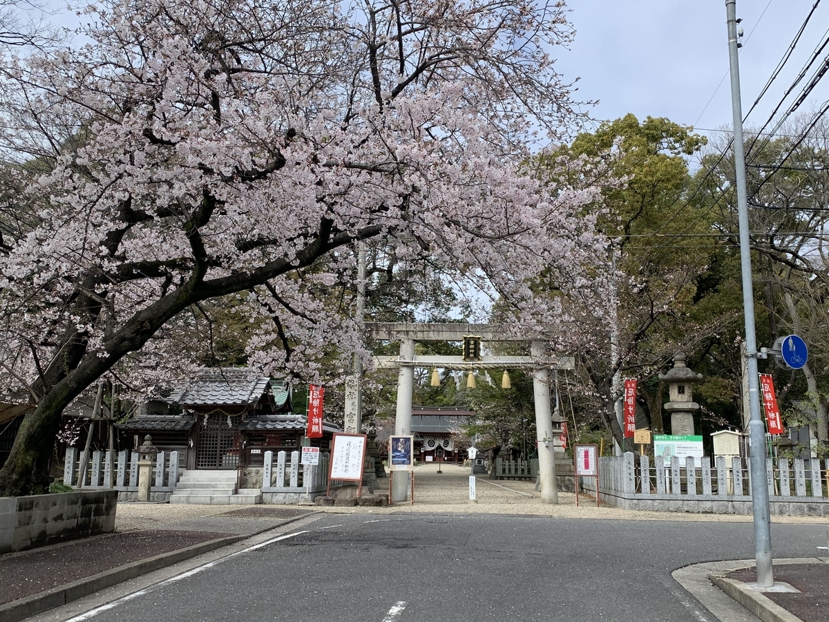 f:id:suzukasjp:20200427144450j:plain