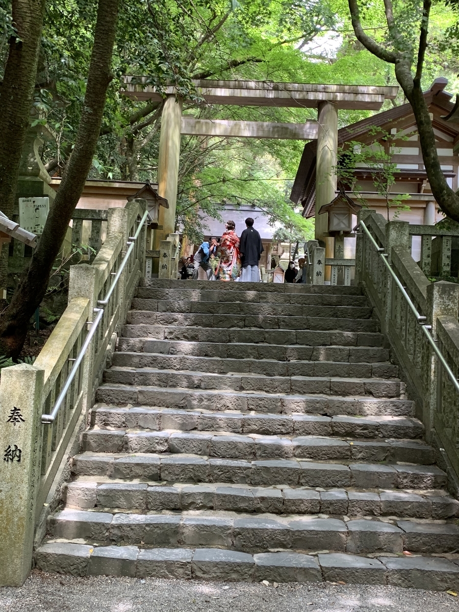 f:id:suzukasjp:20200530011951j:plain f:id:suzukasjp:20200530011951j:plain
