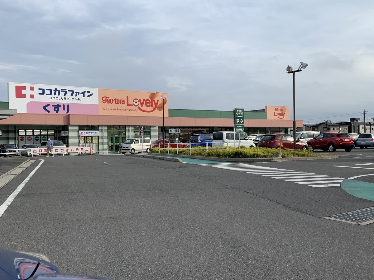f:id:suzukasjp:20200626164418j:plain
