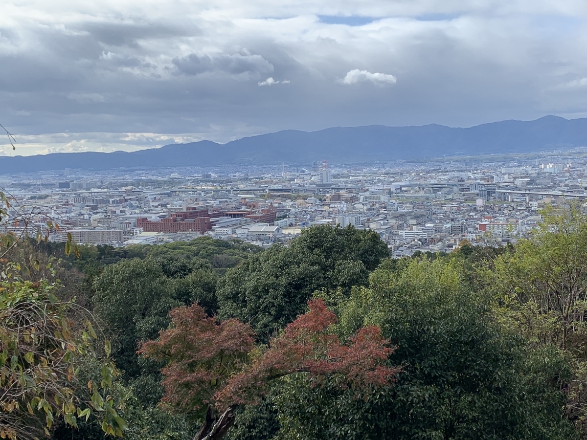 f:id:suzukasjp:20201219175544j:plain