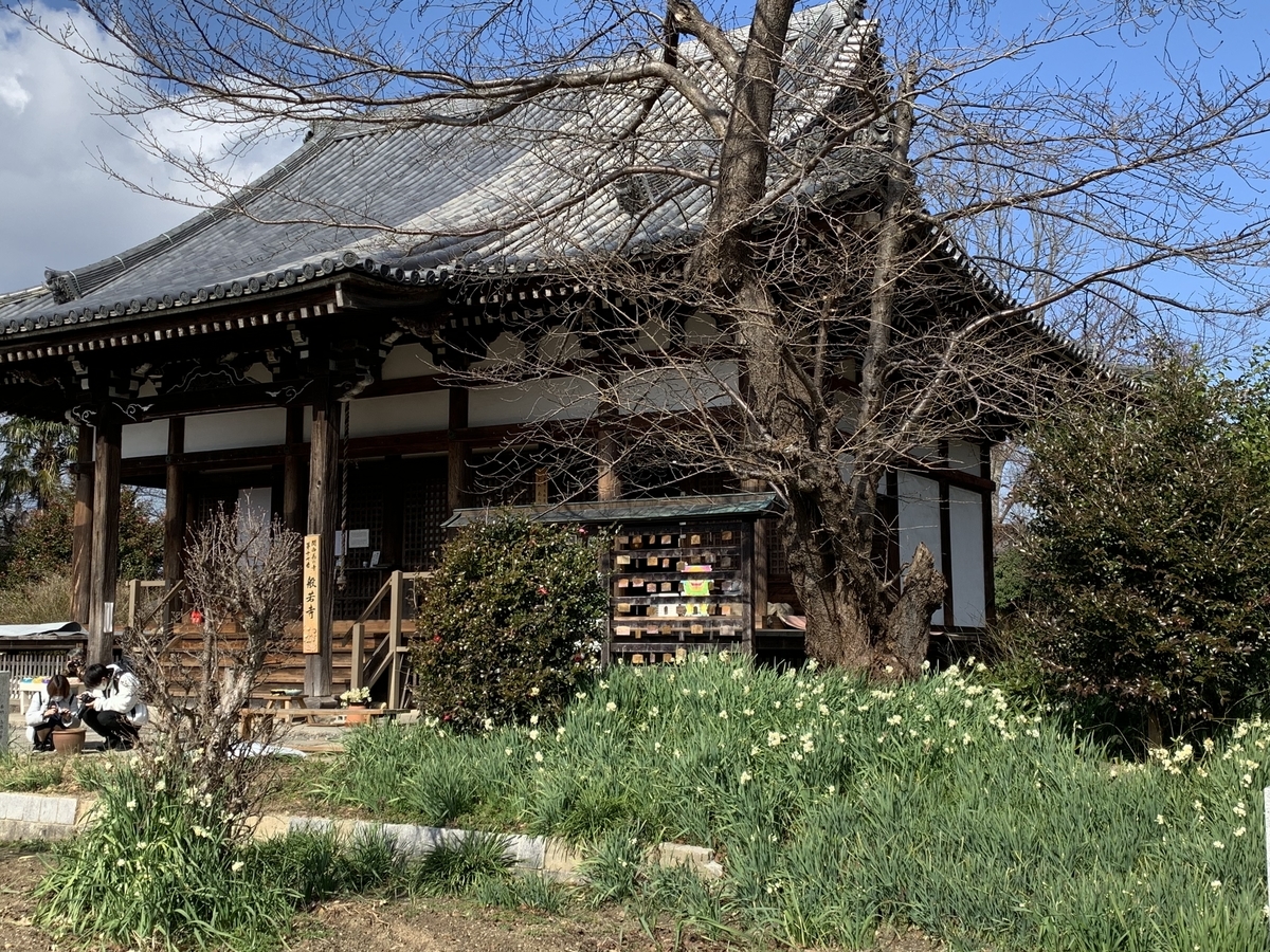 f:id:suzukasjp:20210217174431j:plain