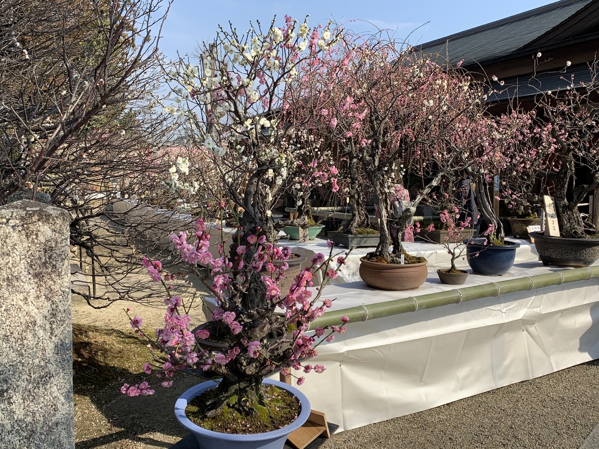 f:id:suzukasjp:20210226010028j:plain