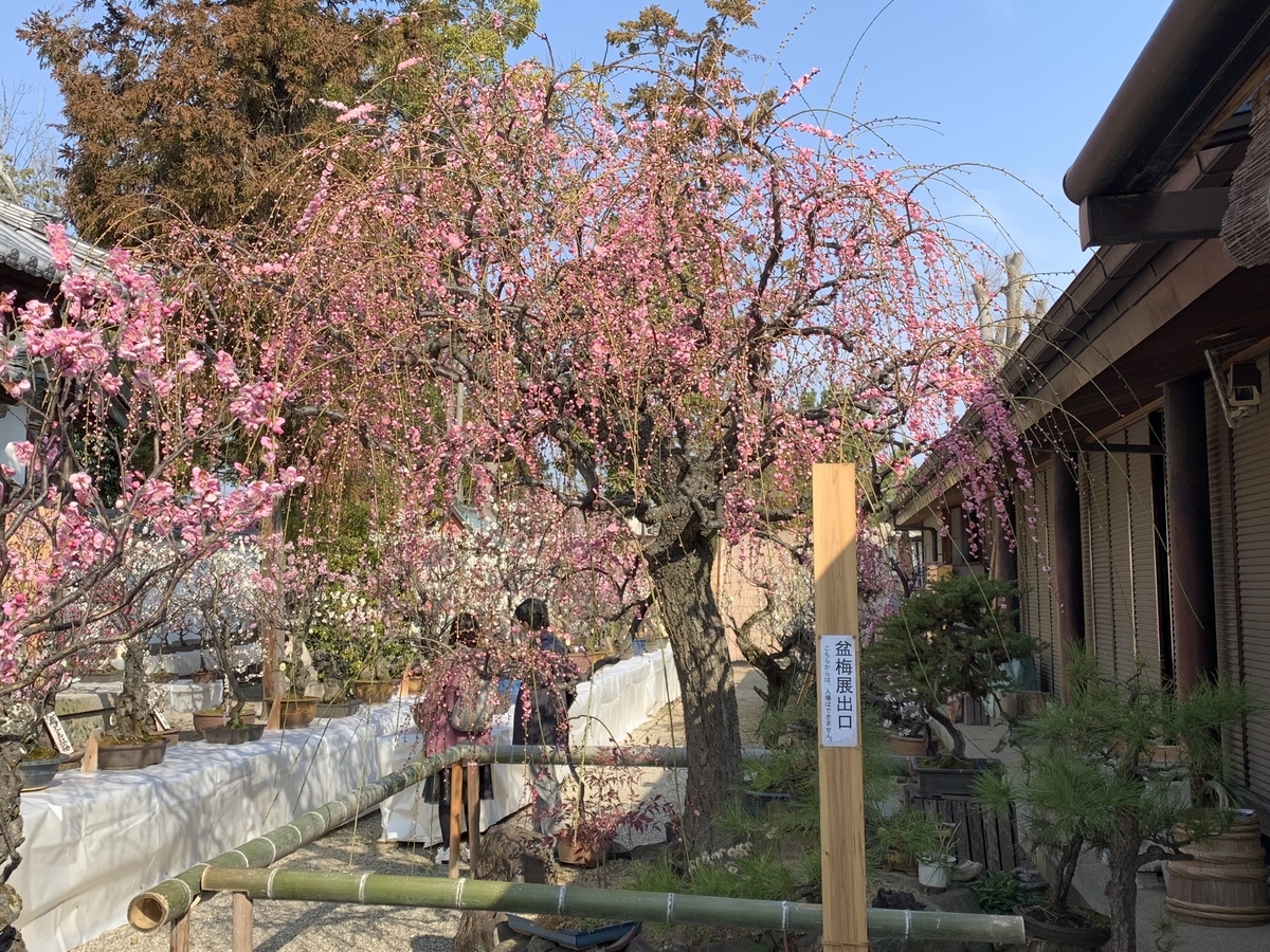 f:id:suzukasjp:20210226010726j:plain
