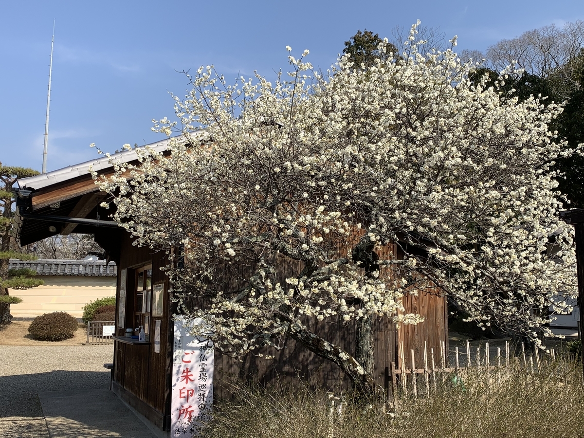 f:id:suzukasjp:20210303155453j:plain