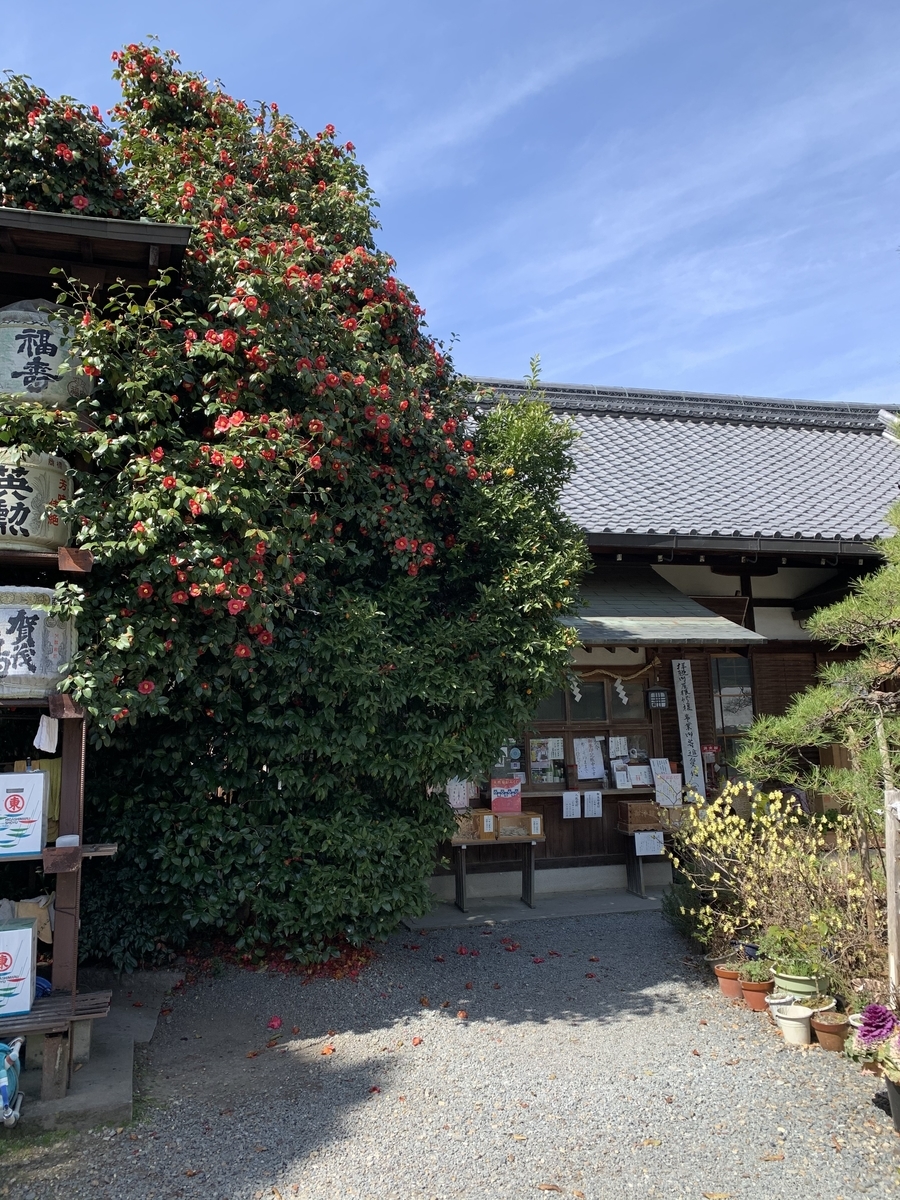 f:id:suzukasjp:20210318010101j:plain