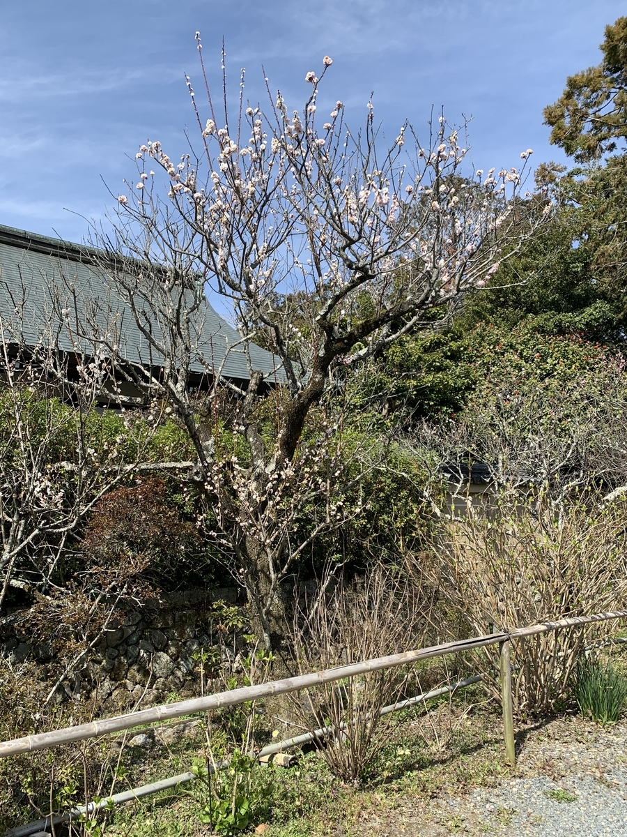 f:id:suzukasjp:20210318011904j:plain