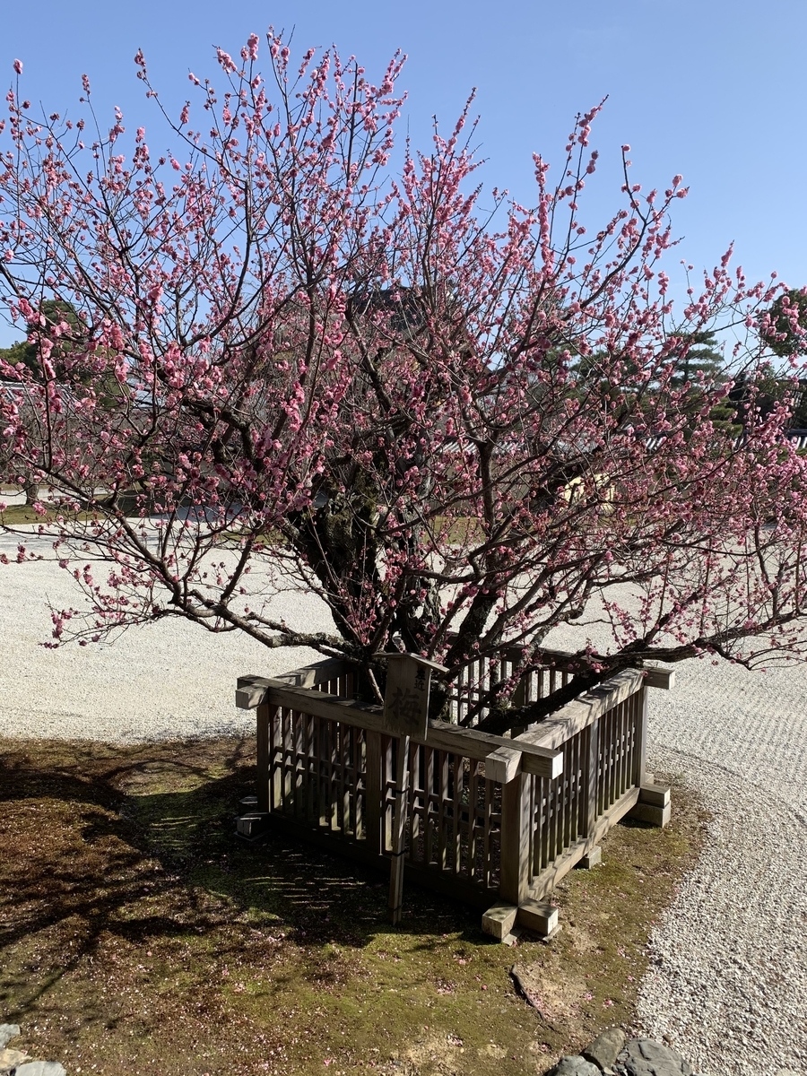 f:id:suzukasjp:20210322023337j:plain
