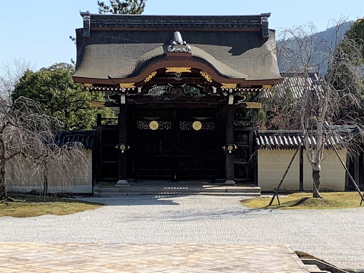 f:id:suzukasjp:20210323164216j:plain