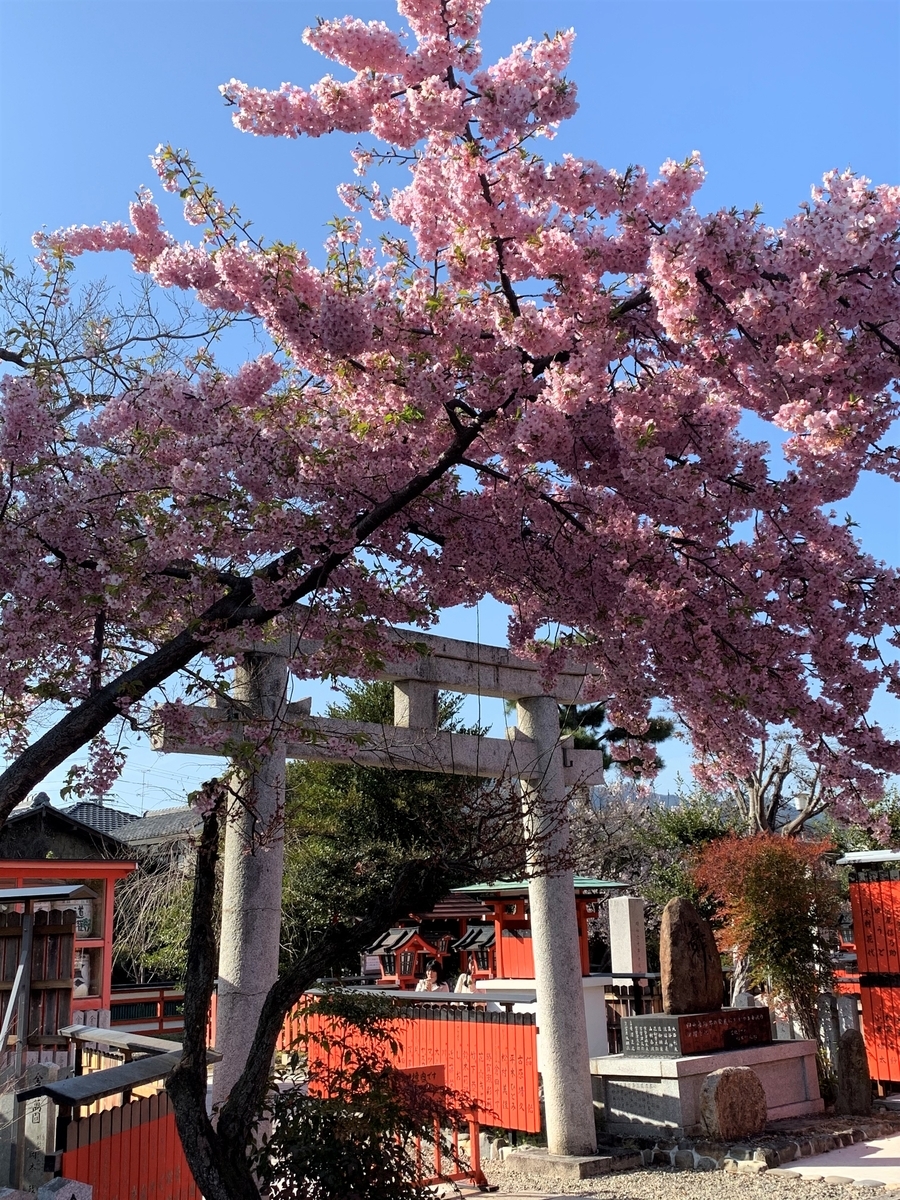f:id:suzukasjp:20210328041423j:plain