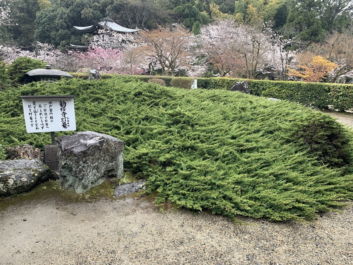 f:id:suzukasjp:20210402175631j:plain