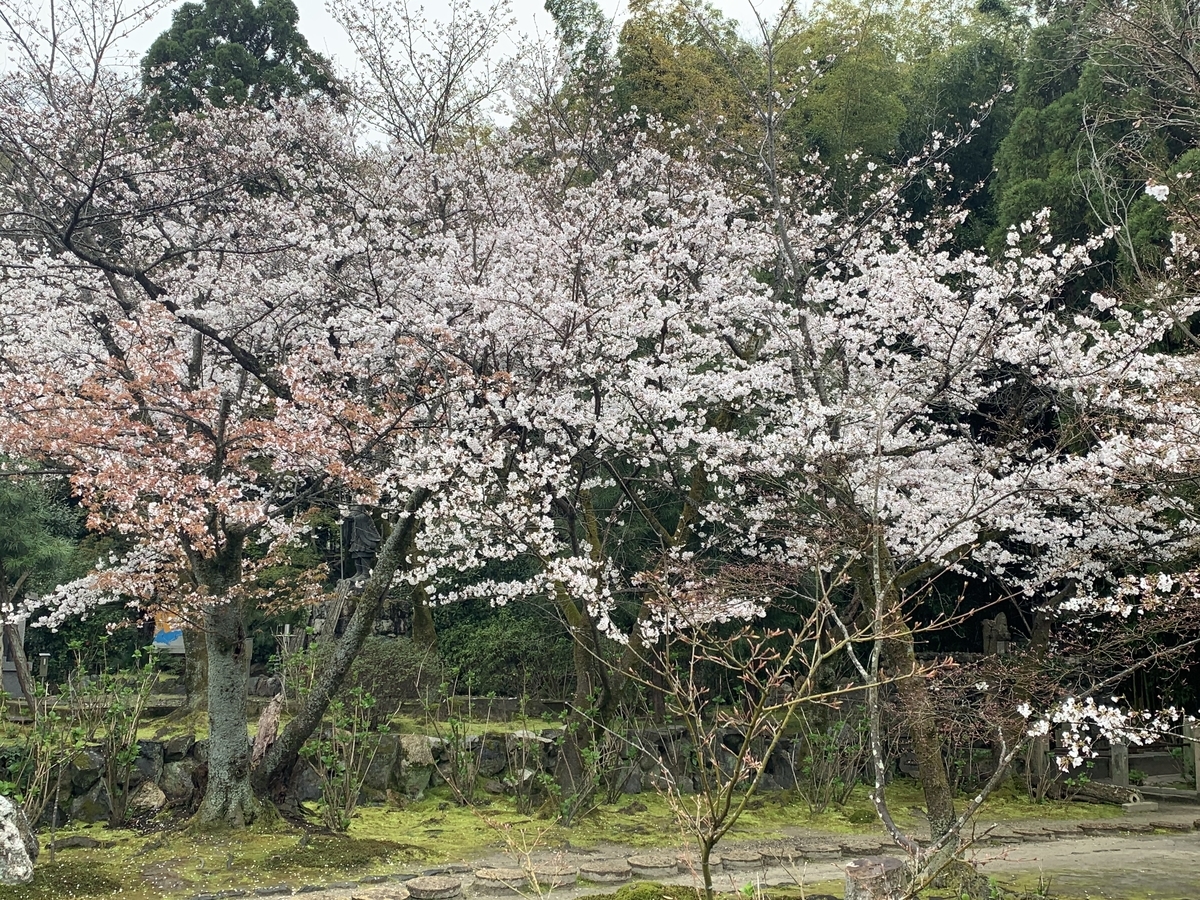 f:id:suzukasjp:20210403004145j:plain
