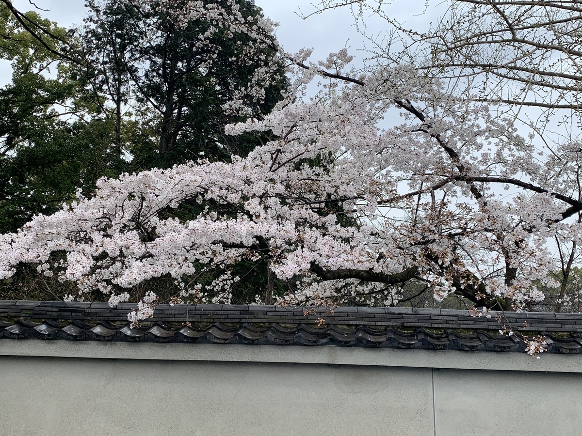 f:id:suzukasjp:20210405003138j:plain