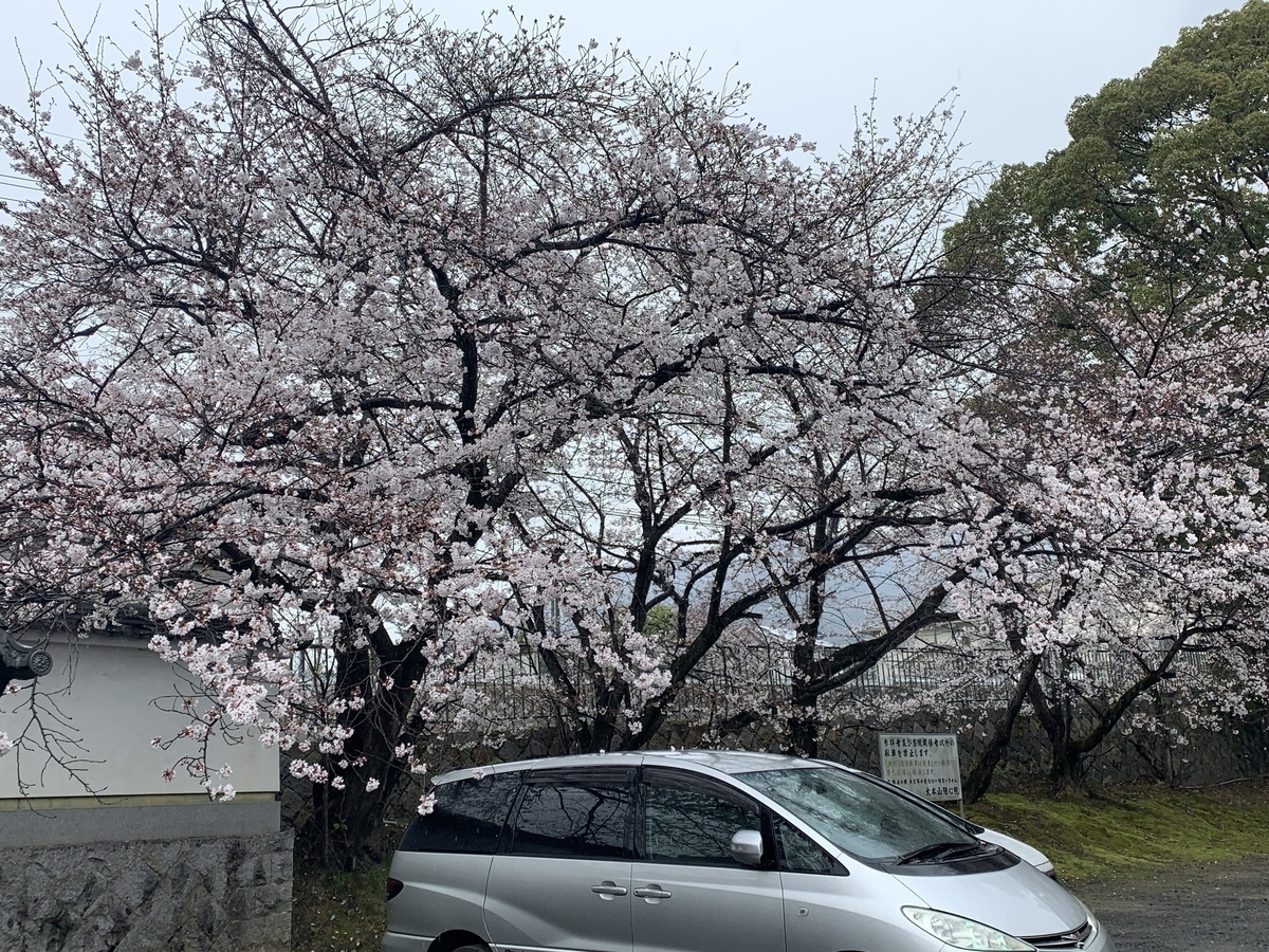 f:id:suzukasjp:20210405003308j:plain