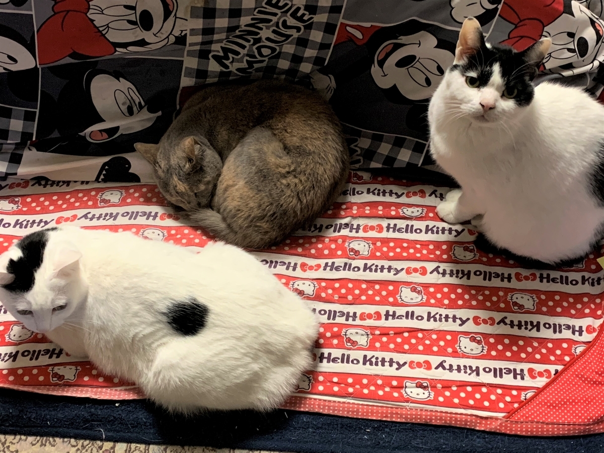 f:id:suzukasjp:20210406163036j:plain