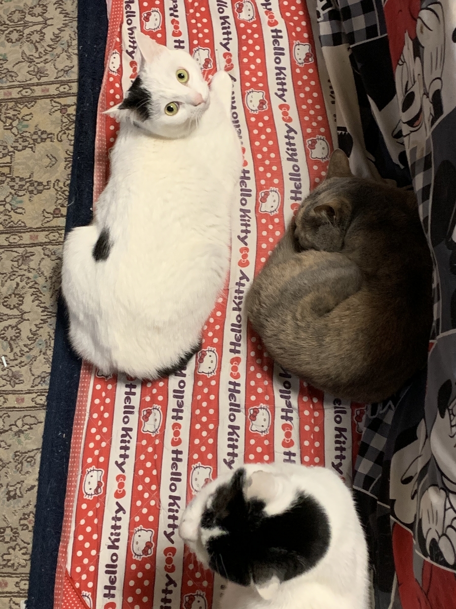 f:id:suzukasjp:20210406163418j:plain