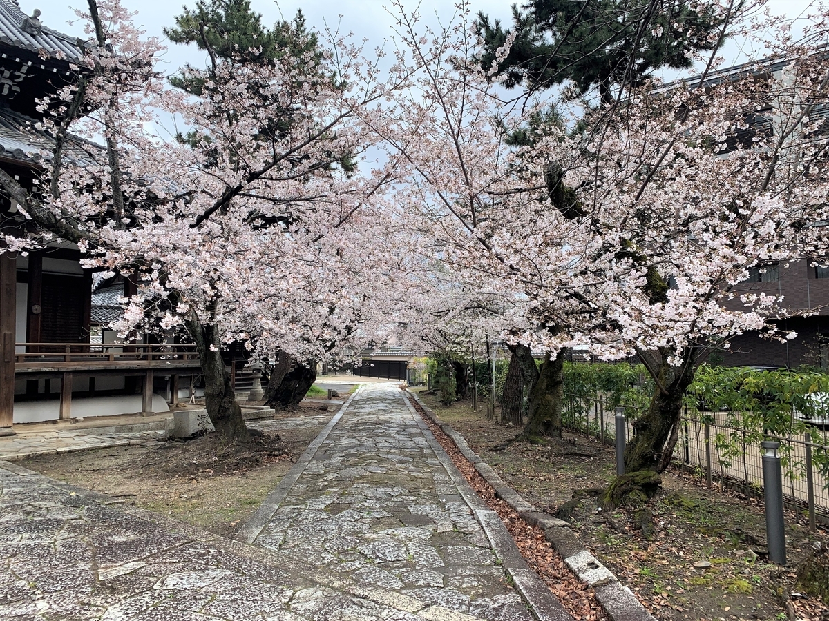 f:id:suzukasjp:20210409023653j:plain