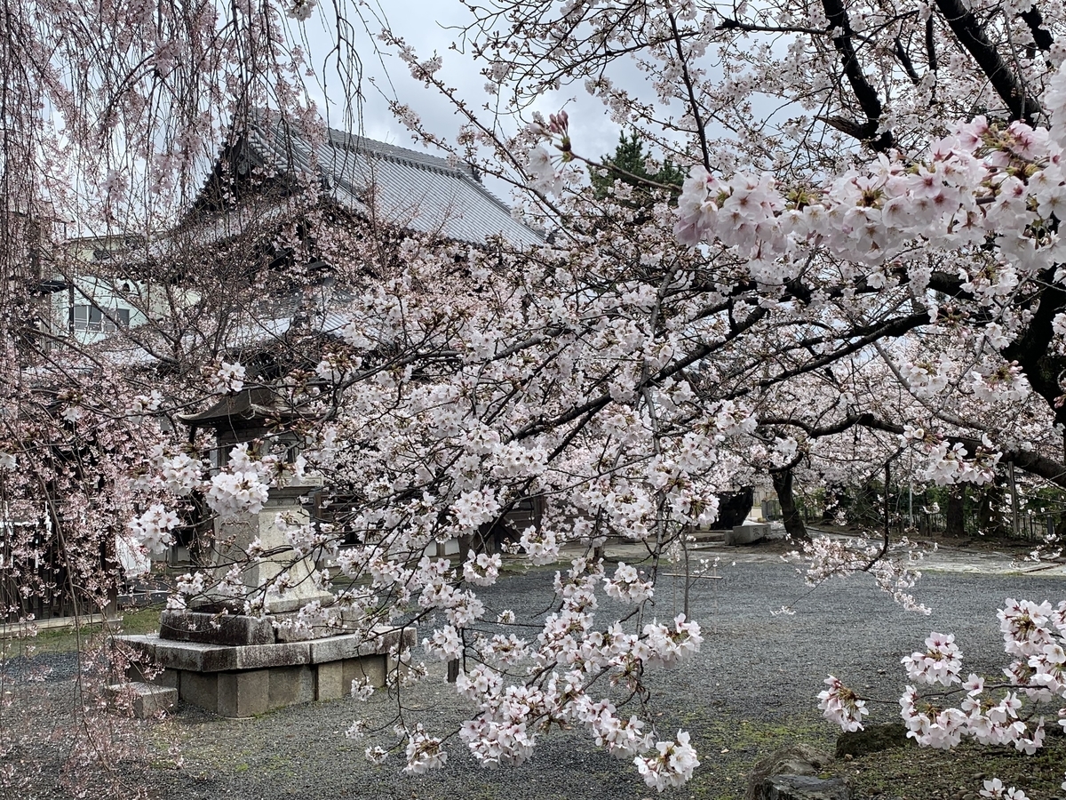 f:id:suzukasjp:20210409032007j:plain