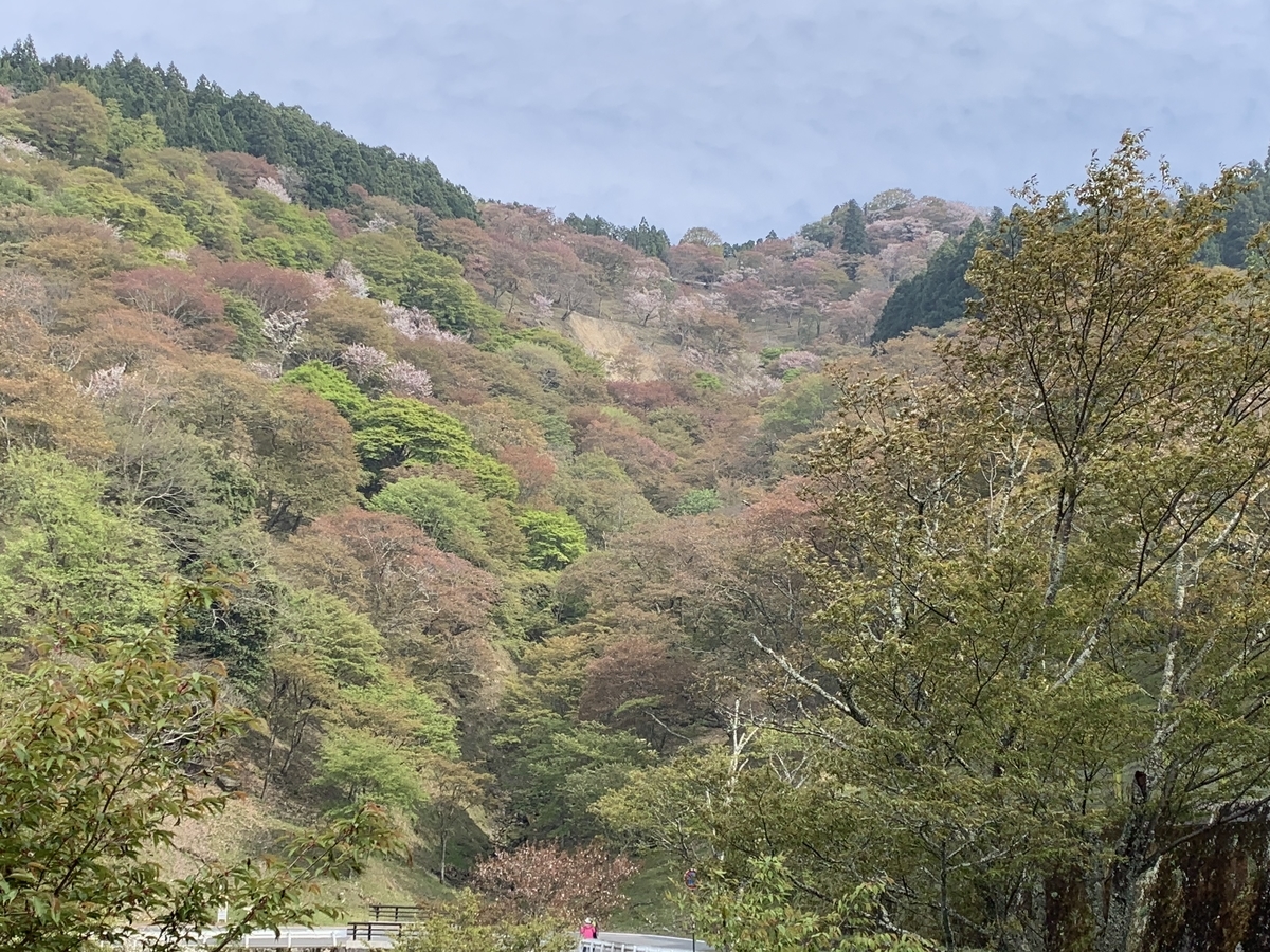 f:id:suzukasjp:20210417021453j:plain