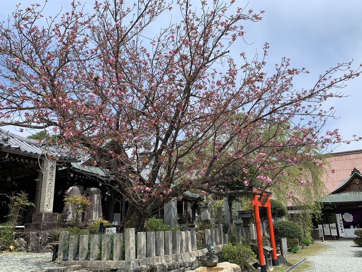f:id:suzukasjp:20210423022211j:plain