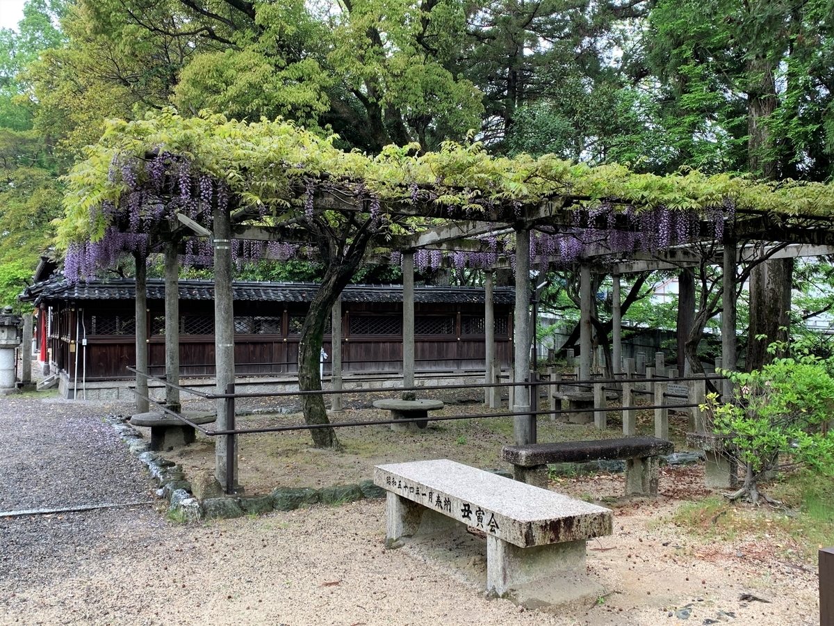 f:id:suzukasjp:20210503024810j:plain