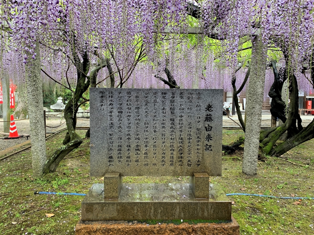 f:id:suzukasjp:20210507010656j:plain