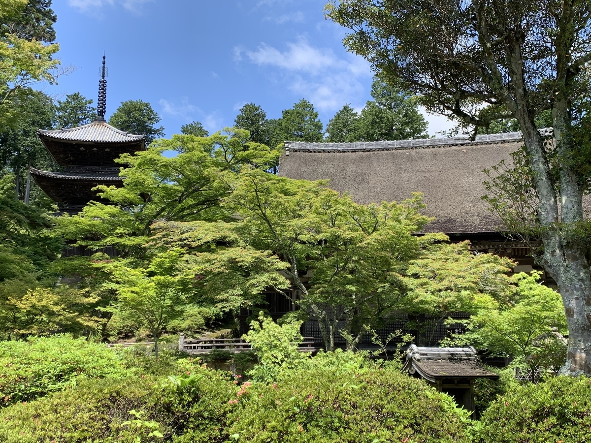 f:id:suzukasjp:20210525023657j:plain