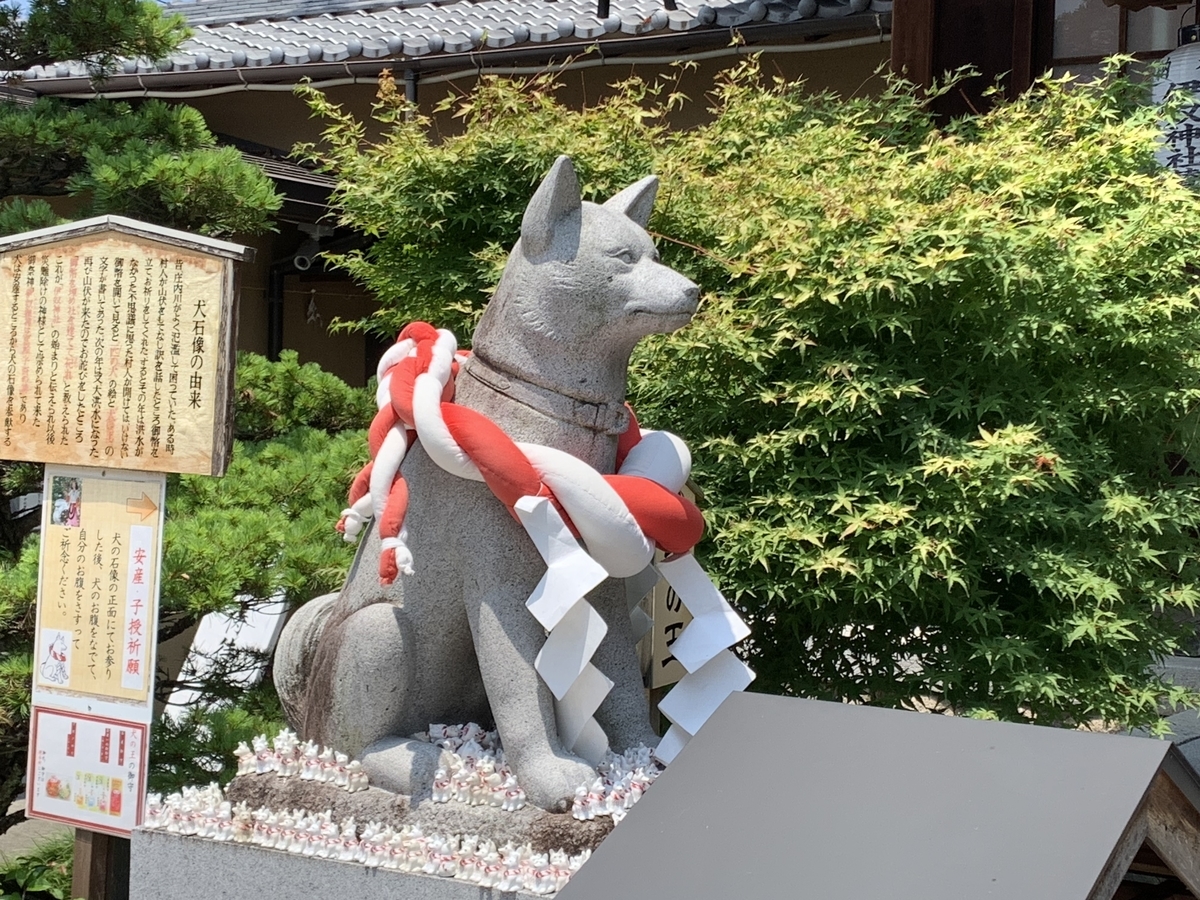 f:id:suzukasjp:20210731164212j:plain