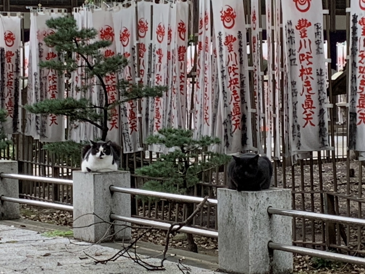 f:id:suzukasjp:20210902001248j:plain