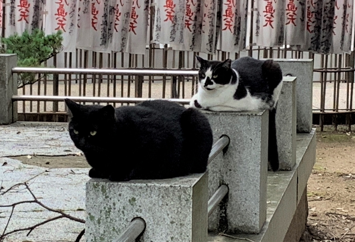f:id:suzukasjp:20210902003228j:plain