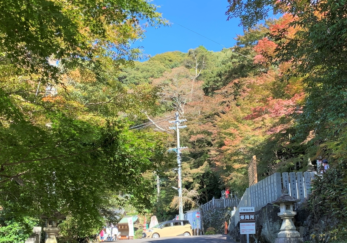 f:id:suzukasjp:20211122163112j:plain