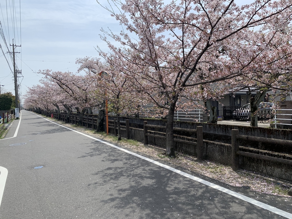 f:id:suzukasjp:20220409163902j:plain