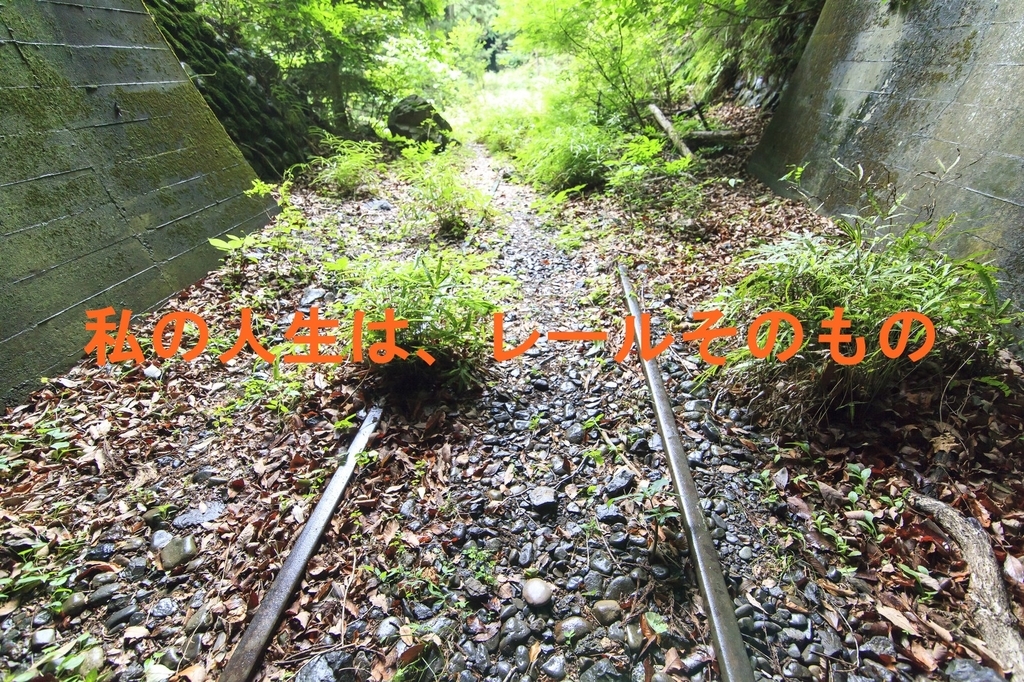 f:id:suzukaya_jp:20180918010809j:plain f:id:suzukaya_jp:20180918010809j:plain