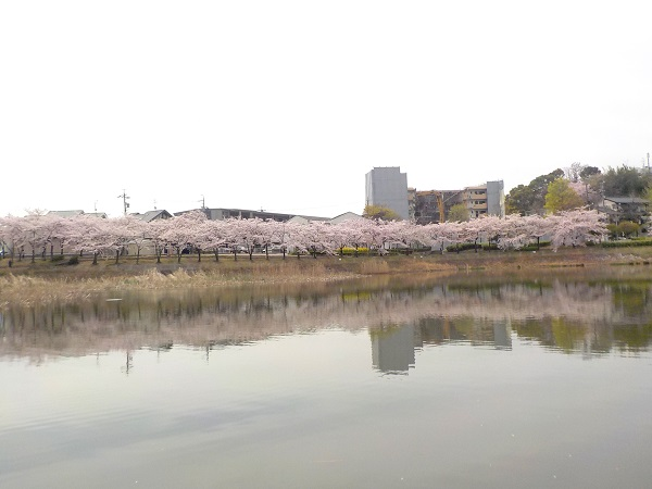 f:id:suzuki3183:20161030002721p:plain f:id:suzuki3183:20161030002721p:plain