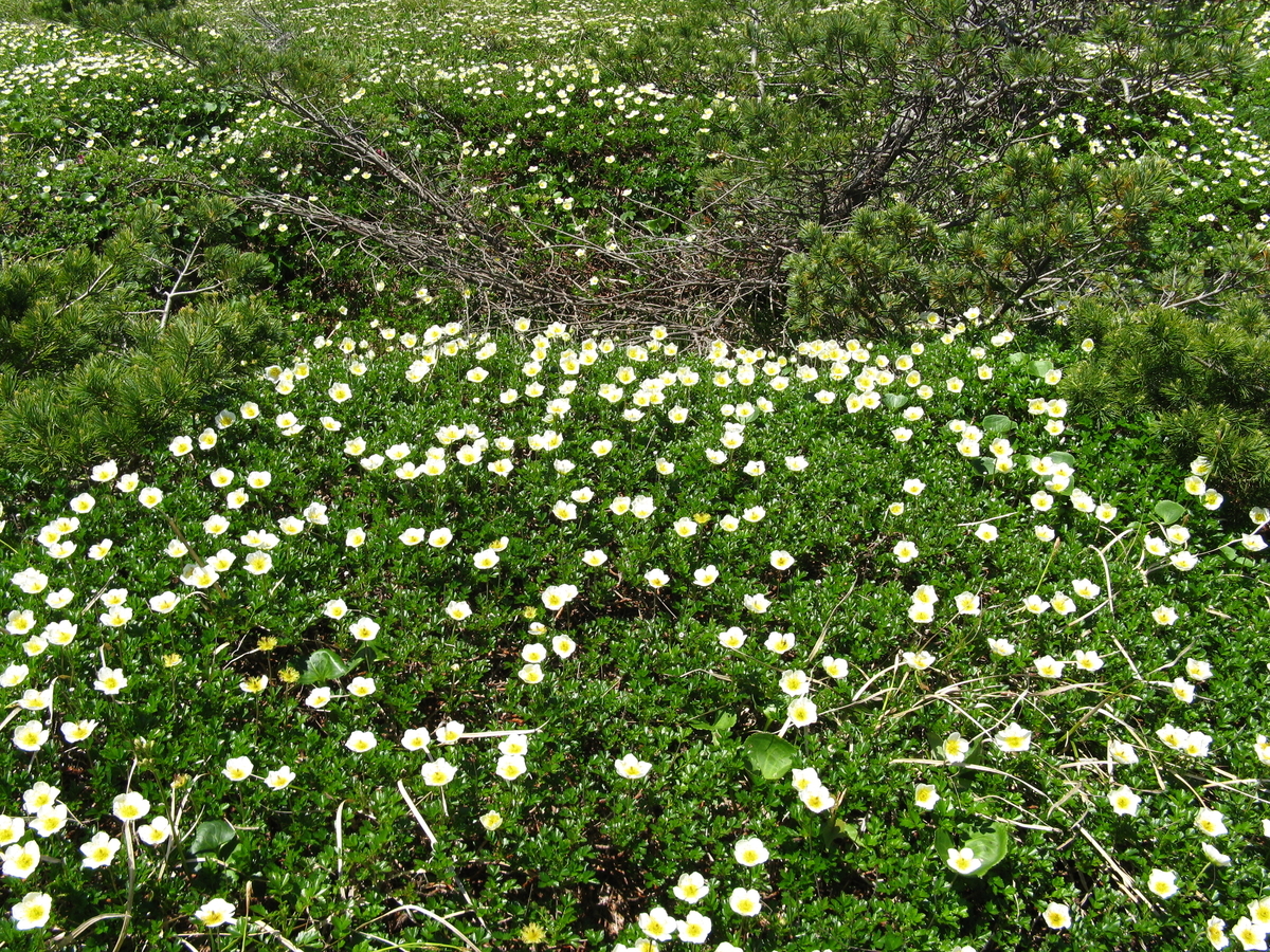 f:id:suzuki_diary_201909:20200704123628j:plain