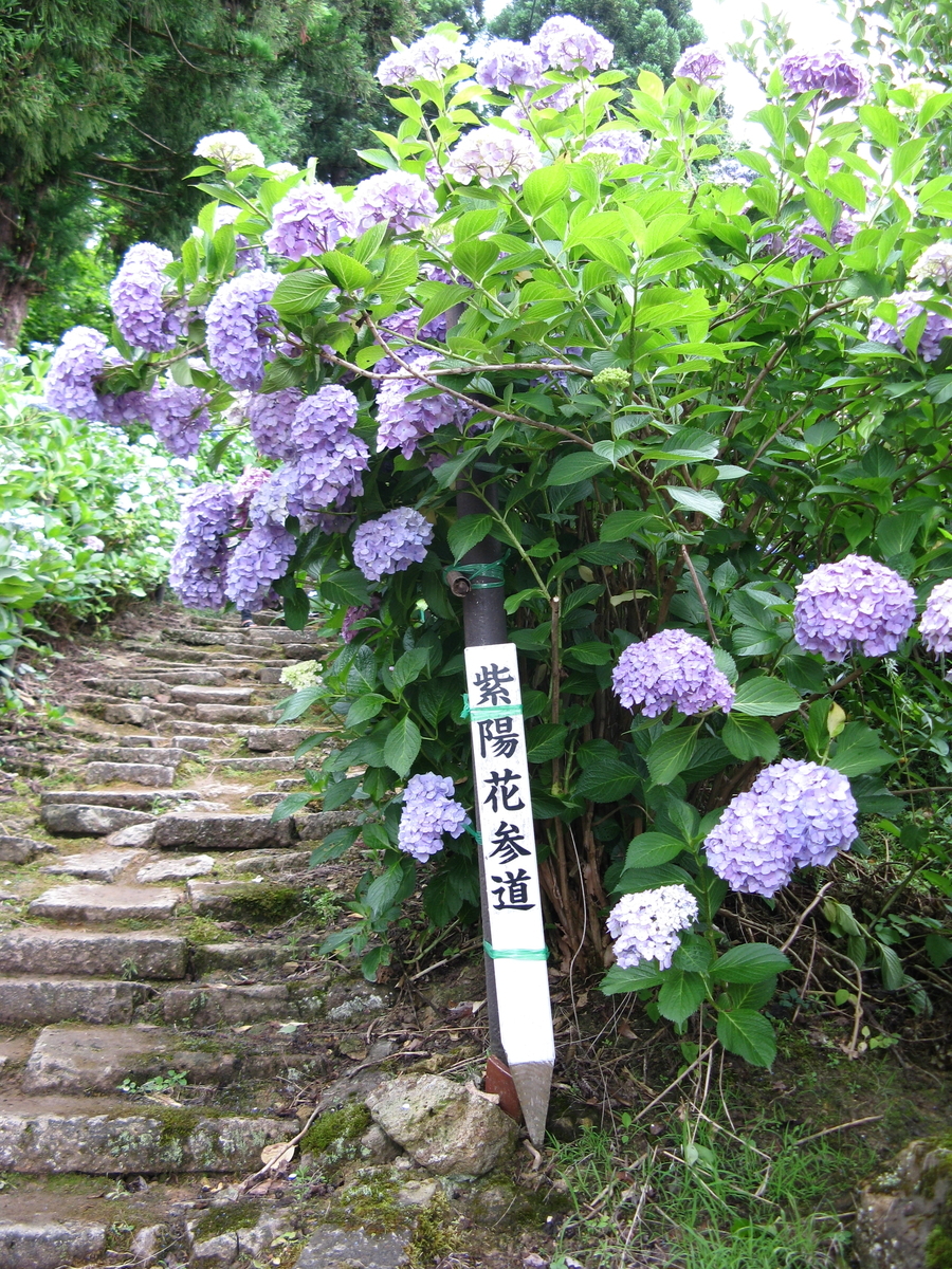 f:id:suzuki_diary_201909:20200712103035j:plain f:id:suzuki_diary_201909:20200712103035j:plain