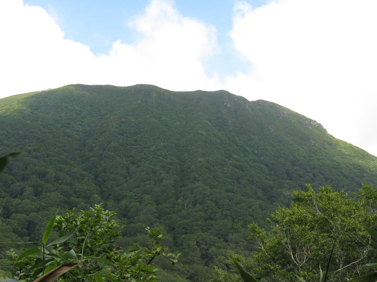 f:id:suzuki_diary_201909:20200829182602j:plain