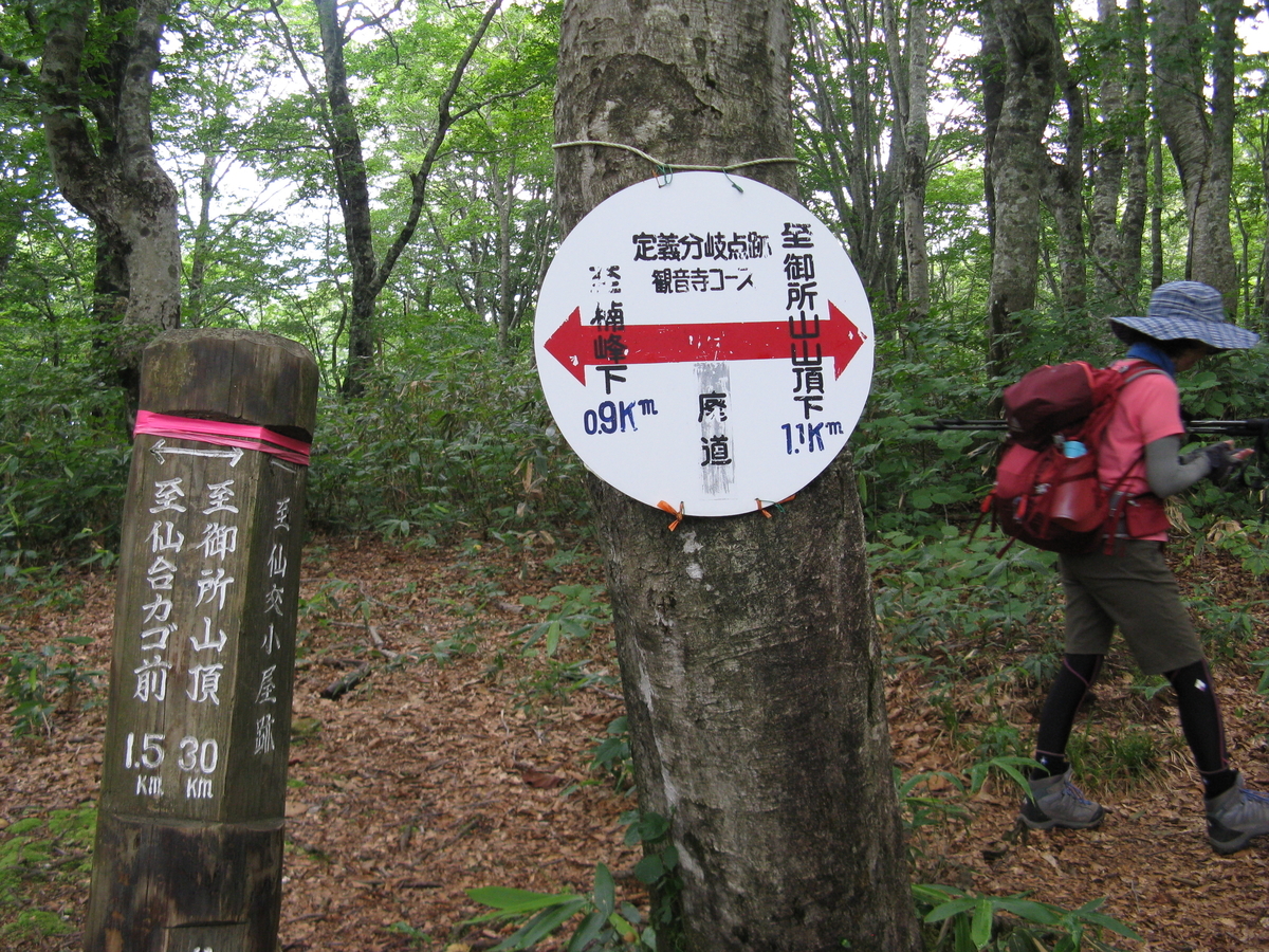 f:id:suzuki_diary_201909:20200829184246j:plain