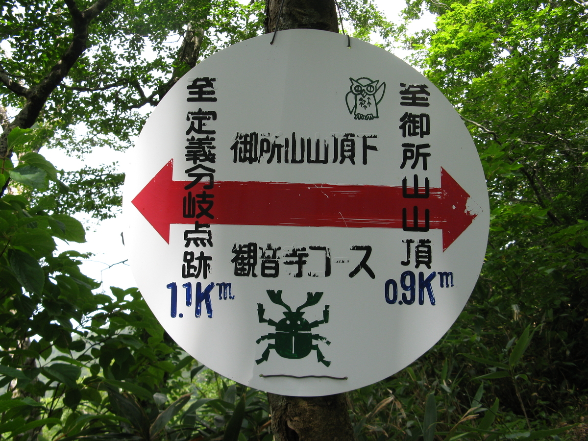 f:id:suzuki_diary_201909:20200829184644j:plain