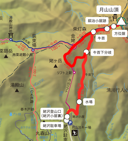 f:id:suzuki_diary_201909:20201012214841p:plain
