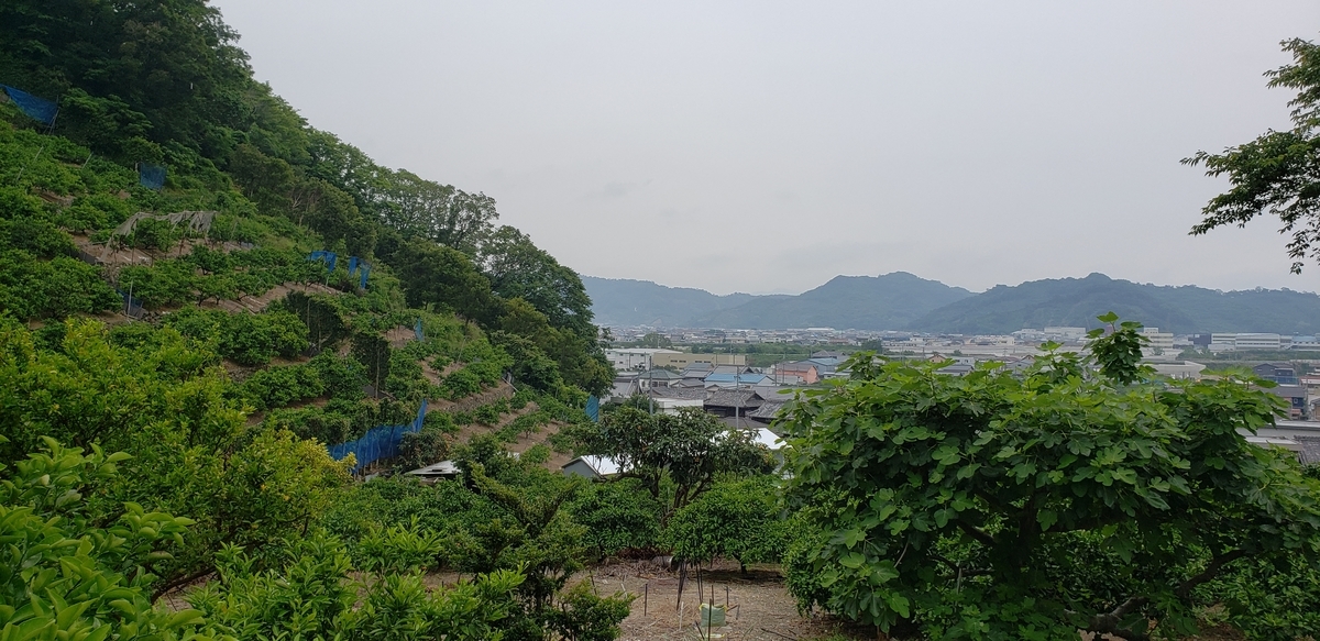 f:id:suzuki_seminar:20190611134335j:plain f:id:suzuki_seminar:20190611134335j:plain