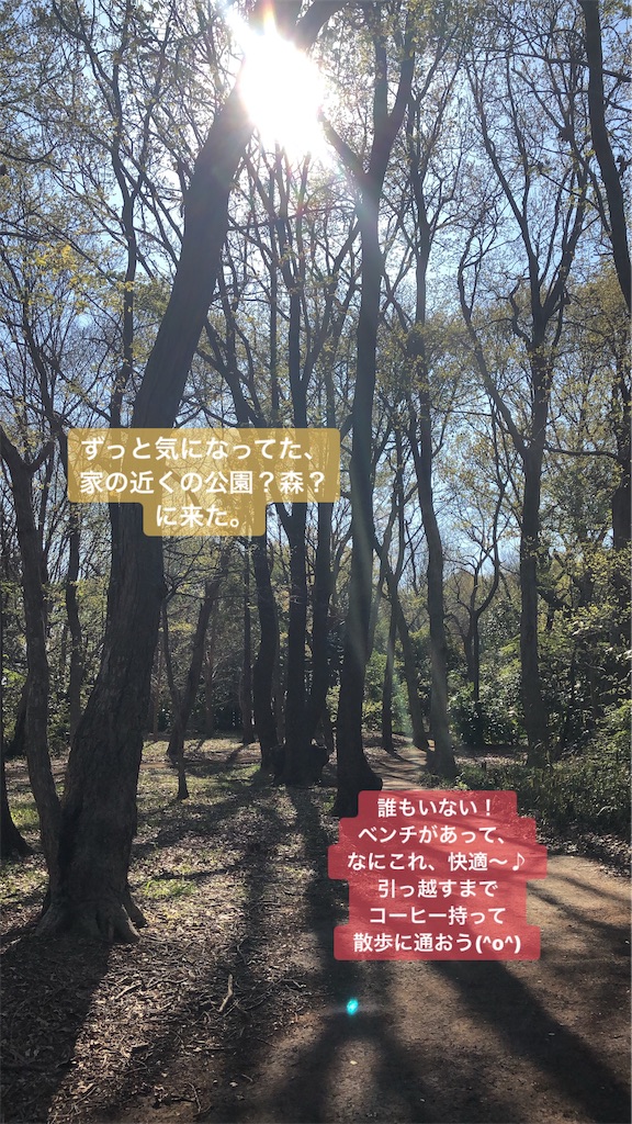 f:id:suzukiaya:20190413215517j:image f:id:suzukiaya:20190413215517j:image