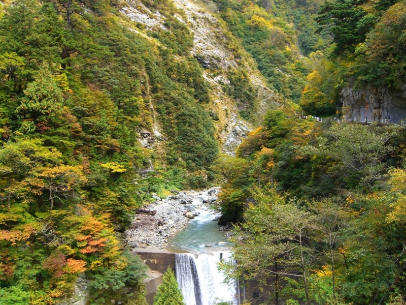 f:id:suzukidesu23:20140921211250j:plain